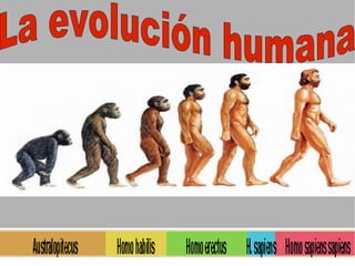 La evolución humana 