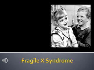 Fragile X Syndrome 