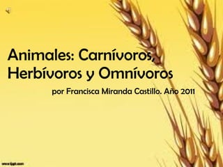 Animales: Carnívoros, Herbívoros y Omnívoros     por Francisca Miranda Castillo. Año 2011     