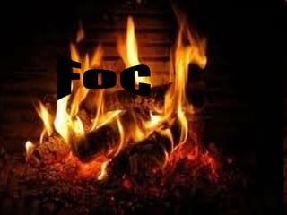 Foc 