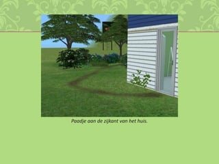 Paadje aan de zijkant van het huis.