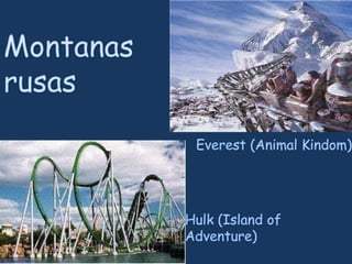 Montanas rusas Everest (Animal Kindom) Hulk (Island of Adventure) 