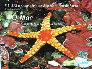 E.B. 2/3 e secundária de São Martinho do Porto
Área de projecto
2010/2011



       O Mar
                   A importância da estrela do mar




                                                     créditos
 