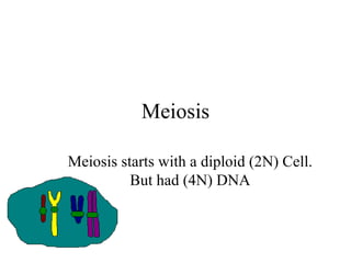 Meiosis Meiosis starts with a diploid (2N) Cell. But had (4N) DNA 
