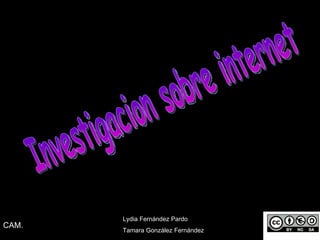 Investigacion sobre internet Lydia Fernández Pardo  Tamara González Fernández CAM. 