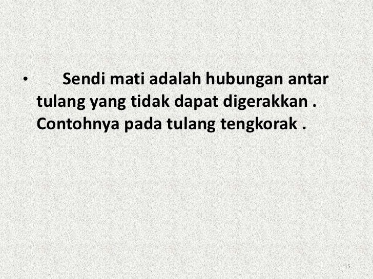 Hubungan Antar Tulang Tengkorak Termasuk Sendi