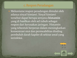  Mekanisme respon peradangan dimulai oleh
 adanya sinyal kimiawi. Sinyal kimiawi
 tersebut dapat berupa senyawa histamin
 yang di hasilkan oleh sel tubuh sebagai
 respon dari kerusakan jaringan. Histamin
 yang tebentuk berperan dalam meningkatkan
 konsentrasi otot dan permeabilitas dinding
 pembuluh darah kapiler di sekitar areal yang
 terinfeksi.
 