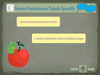1.Struktur Sistem kekebalan Tubuh




            2. Respon Kekebalan Tubuh Terhadap Antigen
 
