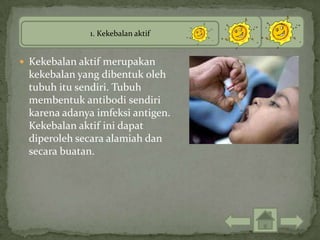 1. Kekebalan aktif


 Kekebalan aktif merupakan
 kekebalan yang dibentuk oleh
 tubuh itu sendiri. Tubuh
 membentuk antibodi sendiri
 karena adanya imfeksi antigen.
 Kekebalan aktif ini dapat
 diperoleh secara alamiah dan
 secara buatan.
 