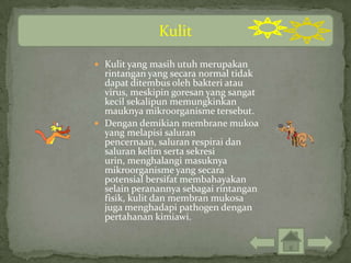 Kulit

 Kulit yang masih utuh merupakan
  rintangan yang secara normal tidak
  dapat ditembus oleh bakteri atau
  virus, meskipin goresan yang sangat
  kecil sekalipun memungkinkan
  mauknya mikroorganisme tersebut.
 Dengan demikian membrane mukoa
  yang melapisi saluran
  pencernaan, saluran respirai dan
  saluran kelim serta sekresi
  urin, menghalangi masuknya
  mikroorganisme yang secara
  potensial bersifat membahayakan
  selain peranannya sebagai rintangan
  fisik, kulit dan membran mukosa
  juga menghadapi pathogen dengan
  pertahanan kimiawi.
 