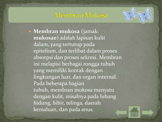  Membran mukosa (jamak:
 mukosae) adalah lapisan kulit
 dalam, yang tertutup pada
 epitelium, dan terlibat dalam proses
 absorpsi dan proses sekresi. Membran
 ini melapisi berbagai rongga tubuh
 yang memiliki kontak dengan
 lingkungan luar, dan organ internal.
 Pada beberapa bagian
 tubuh, membran mukosa menyatu
 dengan kulit, misalnya pada lubang
 hidung, bibir, telinga, daerah
 kemaluan, dan pada anus.
 