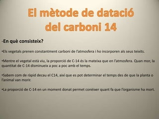 -En què consisteix?
•Els vegetals prenen constantment carboni de l’atmosfera i ho incorporen als seus teixits.

•Mentre el vegetal està viu, la proporció de C-14 és la mateixa que en l’atmosfera. Quan mor, la
quantitat de C-14 disminueix a poc a poc amb el temps.

•Sabem com de ràpid decau el C14, així que es pot determinar el temps des de que la planta o
l’animal van morir.

•La proporció de C-14 en un moment donat permet conèixer quant fa que l’organisme ha mort.
 