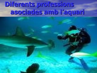 Diferents professions
 asociades amb l’aquari
 