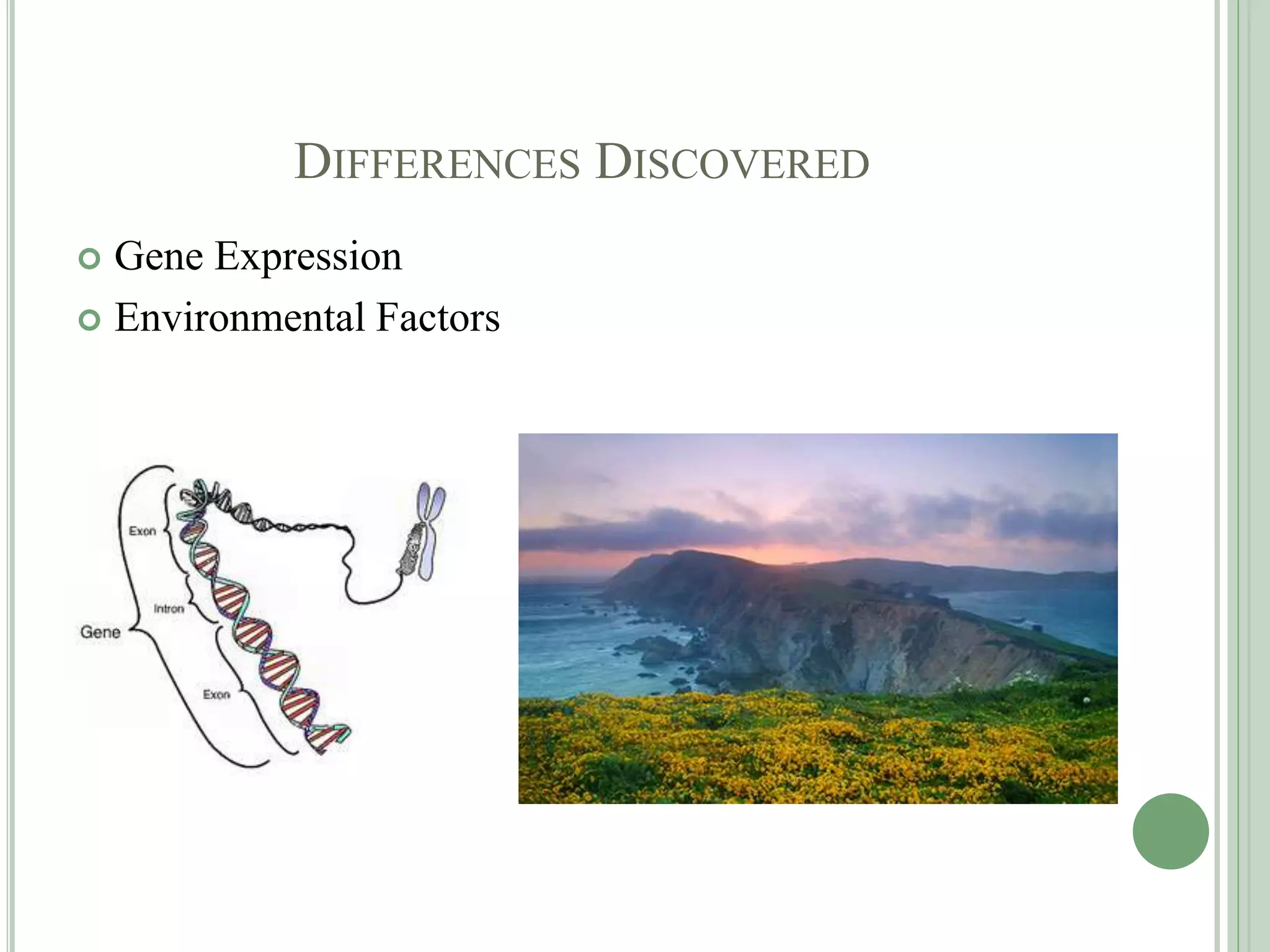 DIFFERENCES DISCOVERED
 Gene Expression
 Environmental Factors
 