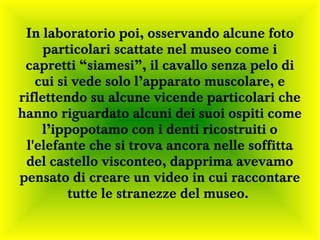 In laboratorio poi, osservando alcune foto
     particolari scattate nel museo come i
 capretti “siamesi”, il cavallo senza pelo di
   cui si vede solo l’apparato muscolare, e
riflettendo su alcune vicende particolari che
hanno riguardato alcuni dei suoi ospiti come
    l’ippopotamo con i denti ricostruiti o
 l'elefante che si trova ancora nelle soffitta
 del castello visconteo, dapprima avevamo
pensato di creare un video in cui raccontare
         tutte le stranezze del museo.
 