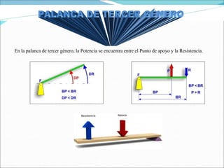 En la palanca de tercer género, la Potencia se encuentra entre el Punto de apoyo y la Resistencia. PALANCA DE TERCER GÉNERO 