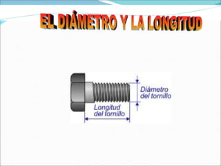 EL DIÁMETRO Y LA LONGITUD                                     