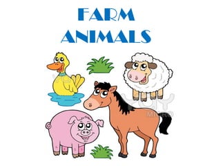 FARM
ANIMALS
 