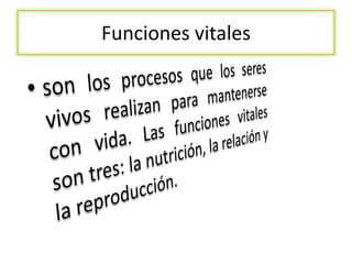 Funciones vitales
 