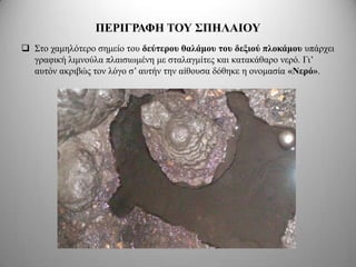 ΠΔΡΙΓΡΑΦΗ ΣΟΤ ΢ΠΗΛΑΙΟΤ
 Σην ρακειόηεξν ζεκείν ηνπ δεύηεπος θαλάμος ηος δεξιού πλοκάμος ππάξρεη
  γξαθηθή ιηκλνύια πιαηζησκέλε κε ζηαιαγκίηεο θαη θαηαθάζαξν λεξό. Γη’
  απηόλ αθξηβώο ηνλ ιόγν ζ’ απηήλ ηελ αίζνπζα δόζεθε ε νλνκαζία «Νεπό».
 