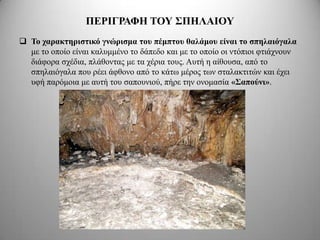 ΠΔΡΙΓΡΑΦΗ ΣΟΤ ΢ΠΗΛΑΙΟΤ
 Σο σαπακηηπιζηικό γνώπιζμα ηος πέμπηος θαλάμος είναι ηο ζπηλαιόγαλα
  κε ην νπνίν είλαη θαιπκκέλν ην δάπεδν θαη κε ην νπνίν νη ληόπηνη θηηάρλνπλ
  δηάθνξα ζρέδηα, πιάζνληαο κε ηα ρέξηα ηνπο. Απηή ε αίζνπζα, από ην
  ζπειαηόγαια πνπ ξέεη άθζνλν από ην θάησ κέξνο ησλ ζηαιαθηηηώλ θαη έρεη
  πθή παξόκνηα κε απηή ηνπ ζαπνπληνύ, πήξε ηελ νλνκαζία «΢απούνι».
 