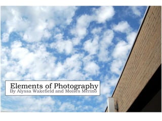 Elements of Photography
By Alyssa Wakefield and Moises Merino
 