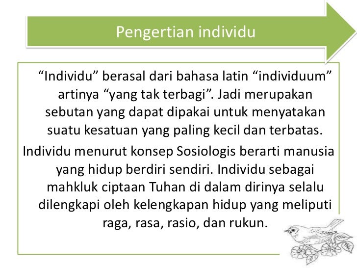 Karakteristik Perkembangan Individu