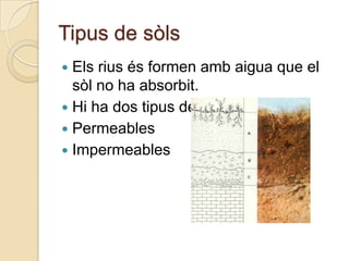 Tipus de sòls
 Els rius és formen amb aigua que el
  sòl no ha absorbit.
 Hi ha dos tipus de sols:
 Permeables
 Impermeables
 