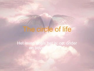 The circle of life Het leven zoals het is: op, onder en boven de grond. 