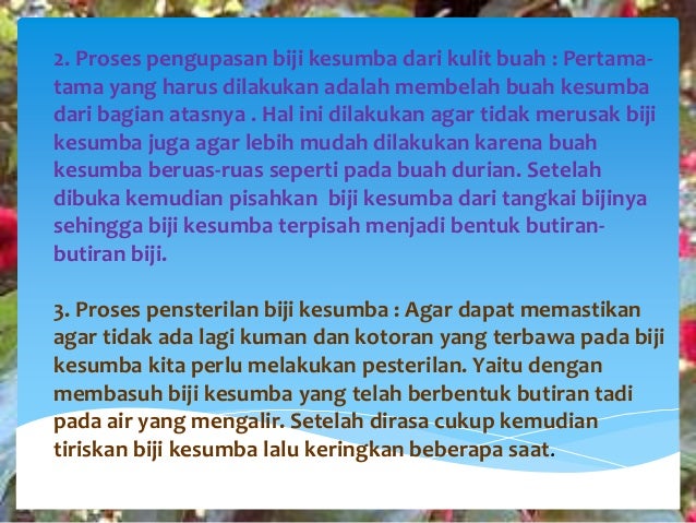 Pemanfaatan Buah Kesumba Sebagai Zat Pewarna Tekstil Pemanfaatan Buah Kesumba Sebagai Zat Pewarna Tekstil