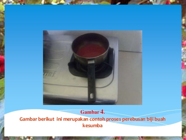 Pemanfaatan Buah Kesumba Sebagai Zat Pewarna Tekstil 