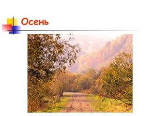 Осень 