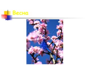 Весна 