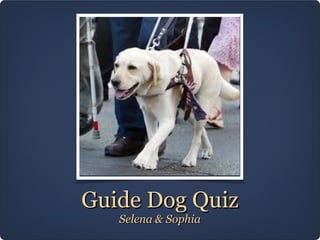 Guide Dog Quiz
   Selena & Sophia
 
