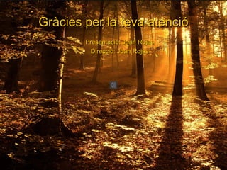 Gràcies per la teva atenció
          Presentació: Joan Rojas
           Direcció: Joan Rojas
 
