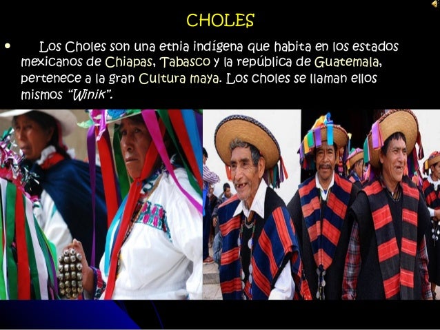 "Los choles"