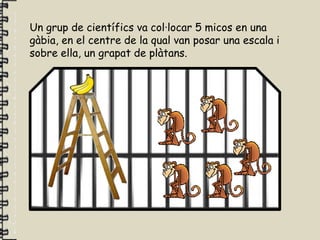 Un grup de científics va col·locar 5 micos en una
gàbia, en el centre de la qual van posar una escala i
sobre ella, un grapat de plàtans.
 