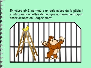 En veure això, es treu a un dels micos de la gàbia i
s'introdueix un altre de nou que no havia participat
anteriorment en l'experiment.
 