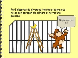 Però després de diversos intents s'adona que
no es pot apropar als plàtans si no vol una
pallissa.
                                       No puc apropar-
                                            me!
 