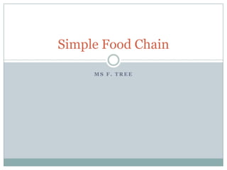 Simple Food Chain

     MS F. TREE
 