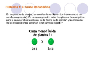 Problema 1: El Cruce Monohíbrido
En las plantas de arvejas, las semillas lisas (S) son dominantes sobre las
semillas rugosas (s). En un cruce genético entre dos plantas heterocigótica
para la característica fenotípica, de la "forma de la semilla“. ¿Qué fracción
de los descendientes deberían tener semillas lisas(S)?
 