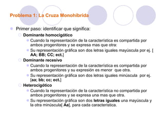 Problema 1: La Cruza Monohíbrida
 Primer paso: identificar que significa:
 Dominante homocigótico
 Cuando la representación de la característica es compartida por
ambos progenitores y se expresa mas que otra:
 Su representación gráfica son dos letras iguales mayúscula por ej. [
AA; BB; CC; ect.]
 Dominante recesivo
 Cuando la representación de la característica es compartida por
ambos progenitores y su expresión es menor que otra.
 Su representación gráfica son dos letras iguales minúscula por ej.
[aa; bb; cc; ect.]
 Heterocigótico
 Cuando la representación de la característica no compartida por
ambos progenitores y se expresa una mas que otra.
 Su representación gráfica son dos letras iguales una mayúscula y
la otra minúscula[ Aa], para cada caracteristica.
 
