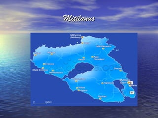 MitilanusMitilanus
 
