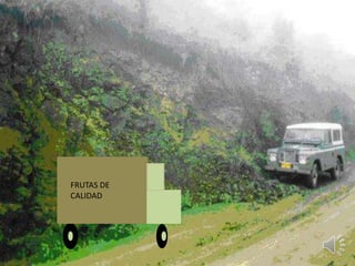 FRUTAS DE
CALIDAD
 