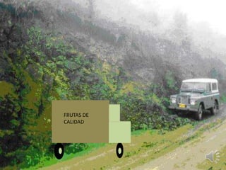 FRUTAS DE
CALIDAD
 