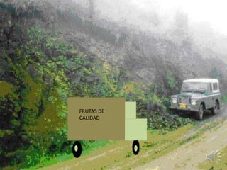 FRUTAS DE
CALIDAD
 