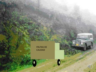 FRUTAS DE
CALIDAD
 