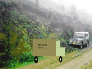 FRUTAS DE
CALIDAD
 