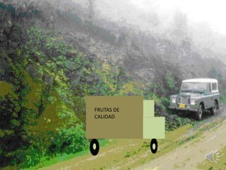 FRUTAS DE
CALIDAD
 