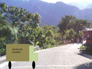 FRUTAS DE
CALIDAD
 